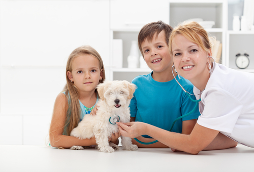 mobile pet vaccinations Sacramento